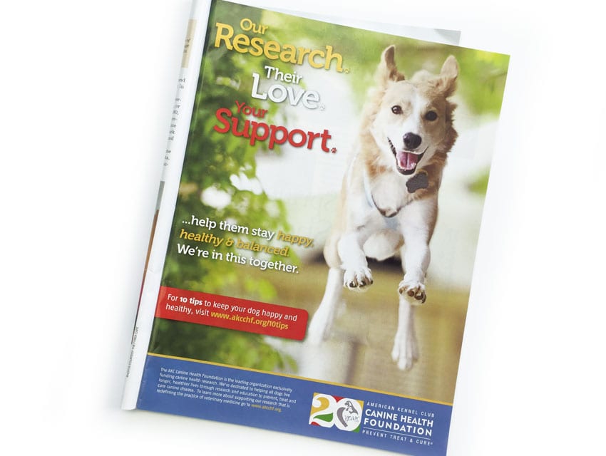 AKC Canine Health Foundation Magazine